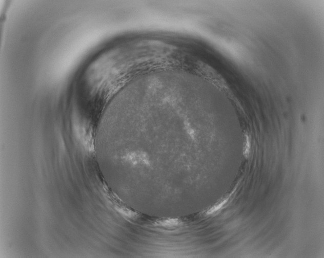 X0000059100431200510172125