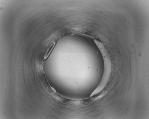 X0000059100432200510172124