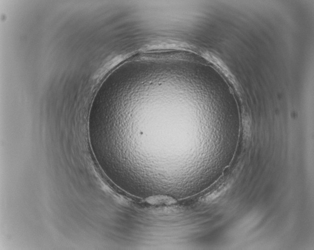 X0000059100433200510172124