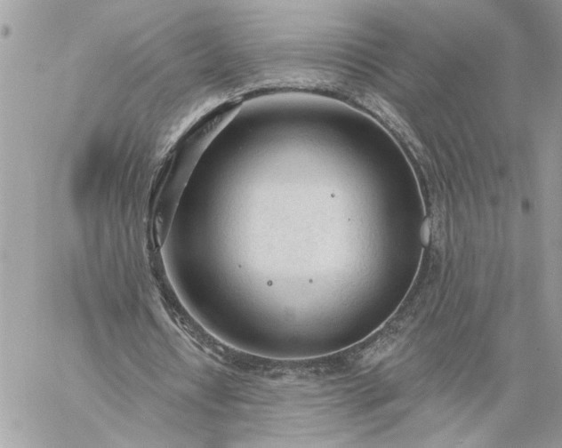 X0000059100434200510172124