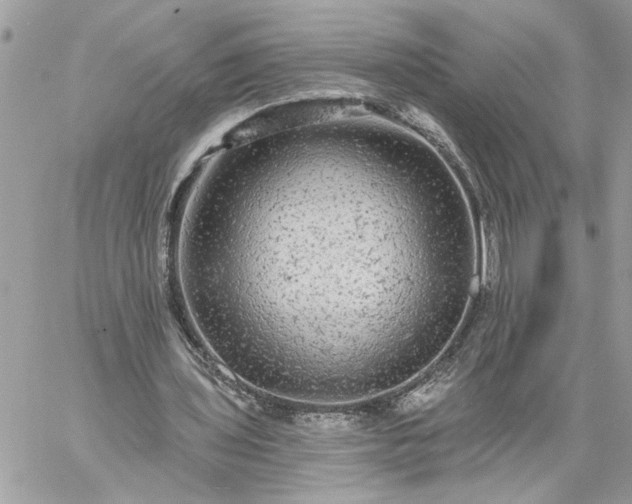 X0000059100435200510172124