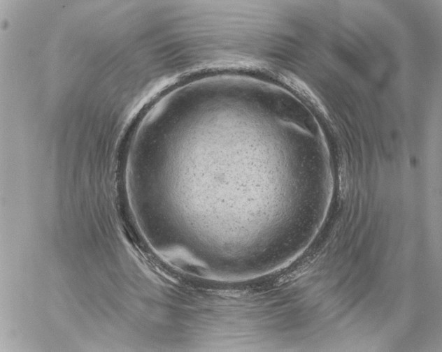 X0000059100436200510172124