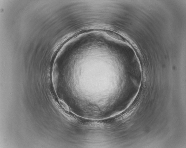 X0000059100437200510172124