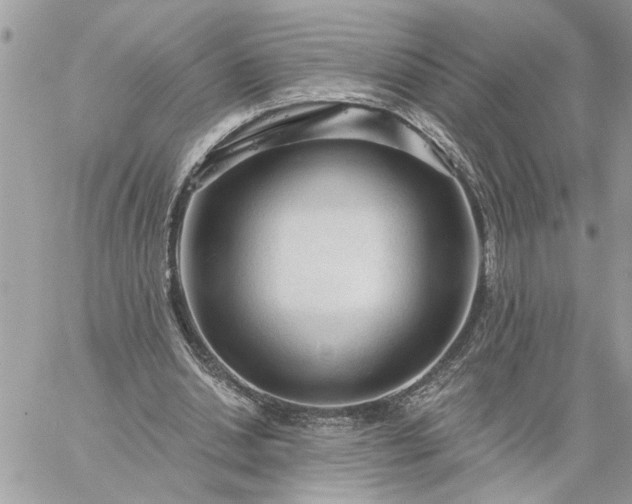 X0000059100438200510172124