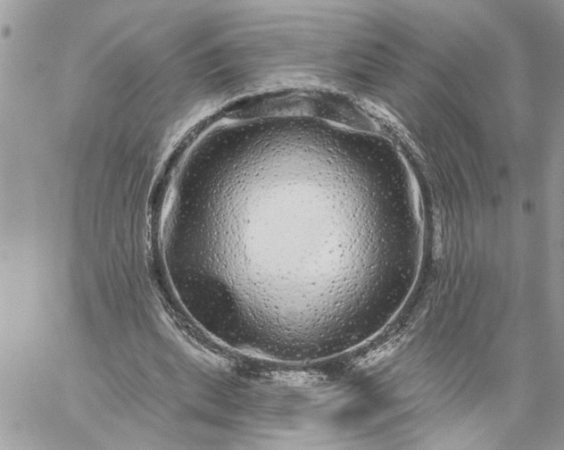 X0000059100439200510172124