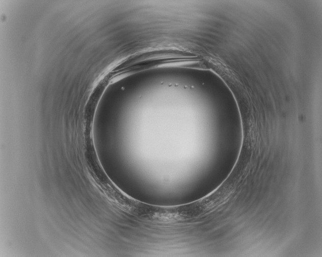 X0000059100440200510172124