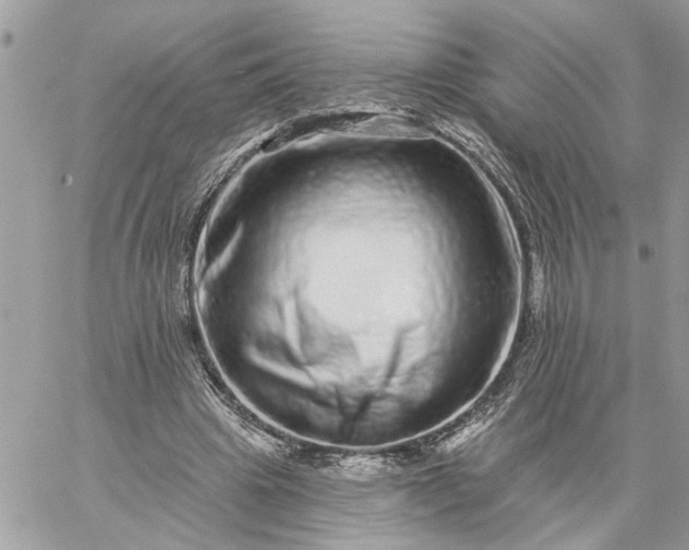 X0000059100441200510172124