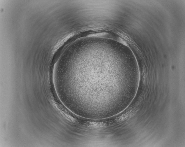 X0000059100442200510172124