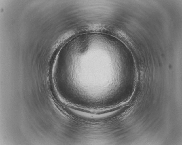 X0000059100443200510172124