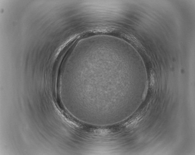 X0000059100444200510172124