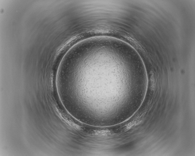 X0000059100446200510172124