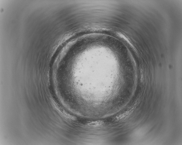 X0000059100447200510172124