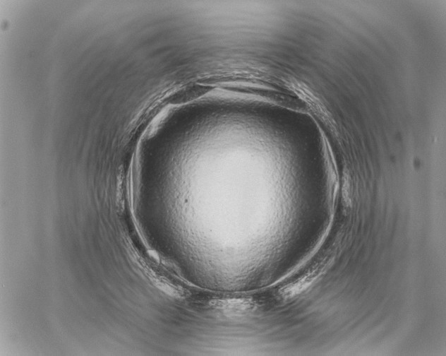 X0000059100449200510172124