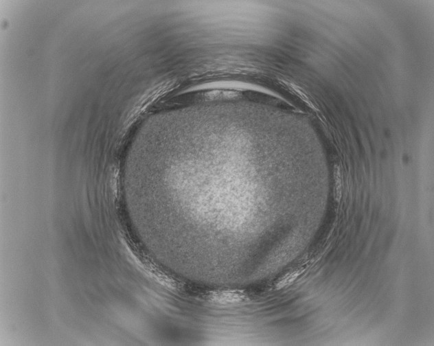 X0000059100451200510172124