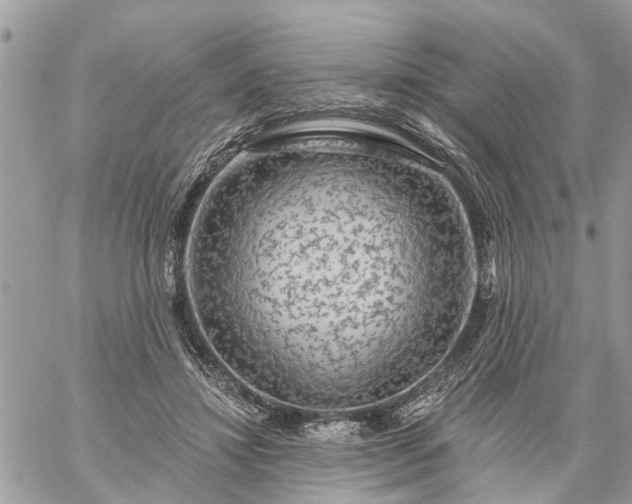 X0000059100452200510172124