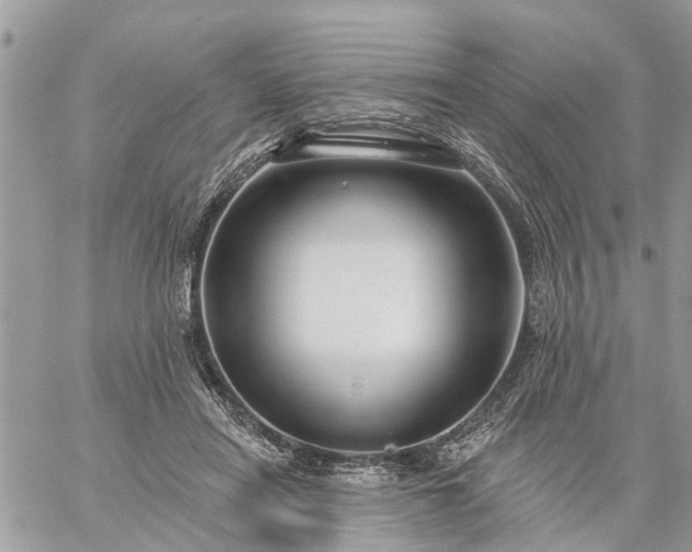 X0000059100454200510172124