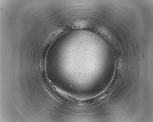 X0000059100455200510172124