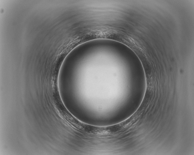 X0000059100456200510172124