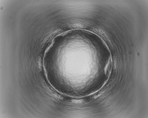 X0000059100457200510172124