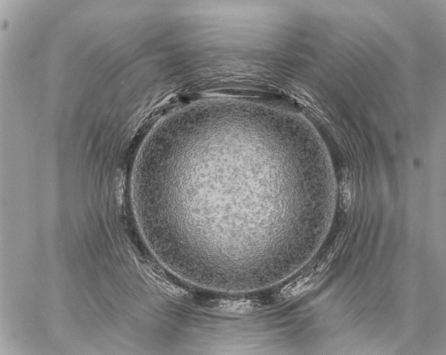 X0000059100458200510172124