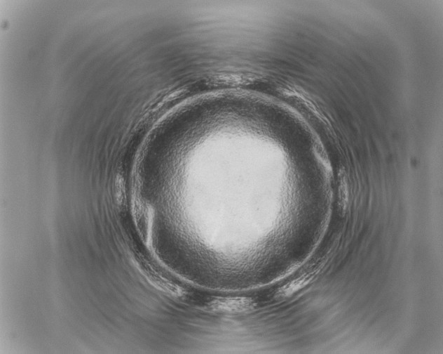 X0000059100459200510172124