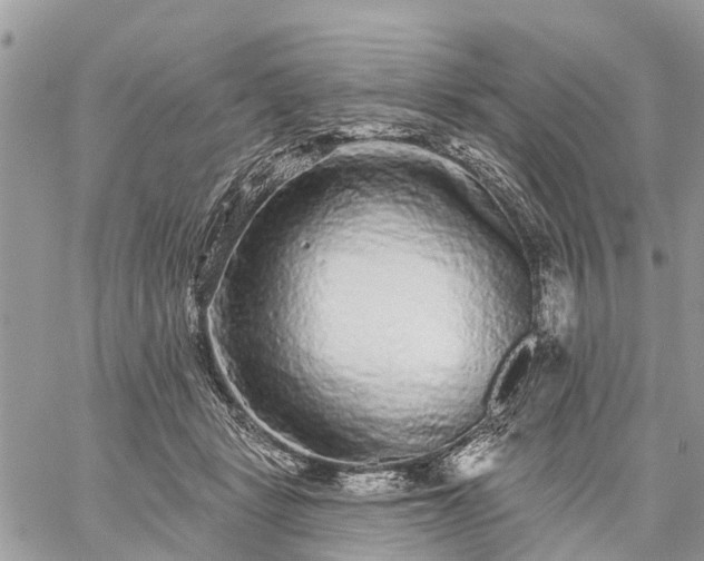 X0000059100461200510172124