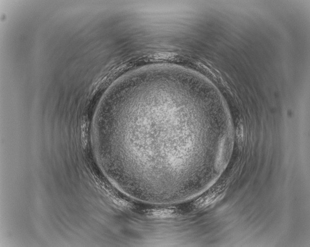 X0000059100462200510172124