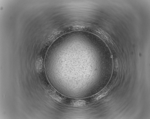 X0000059100463200510172124