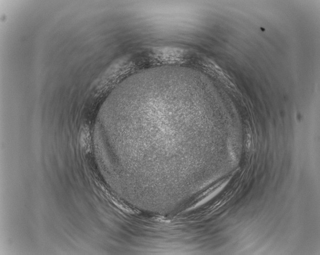 X0000059100465200510172124