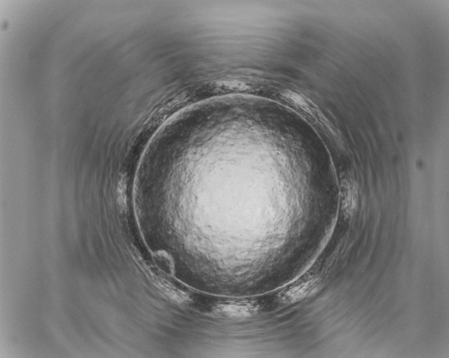 X0000059100466200510172124