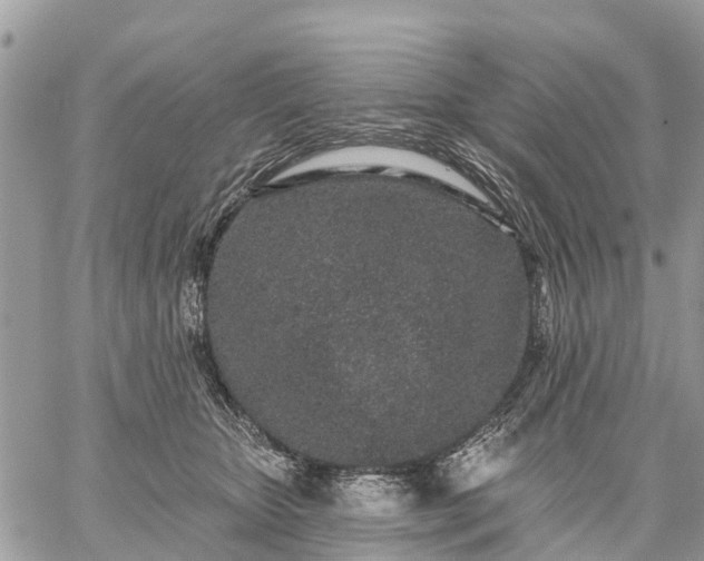 X0000059100467200510172124