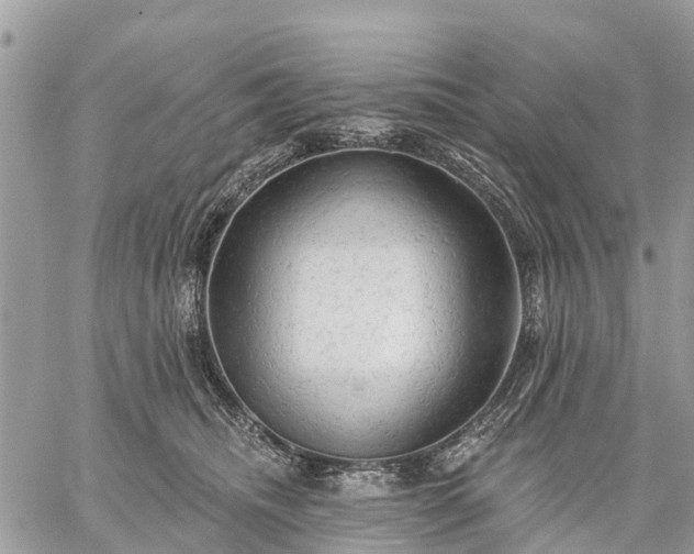 X0000059100468200510172124