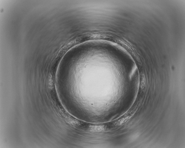 X0000059100469200510172124