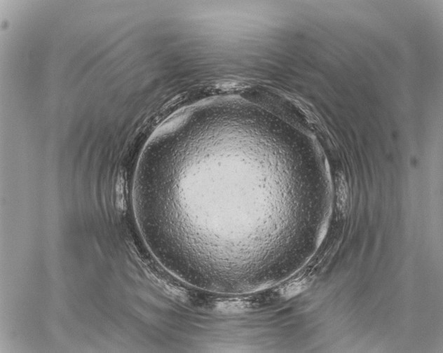 X0000059100470200510172124