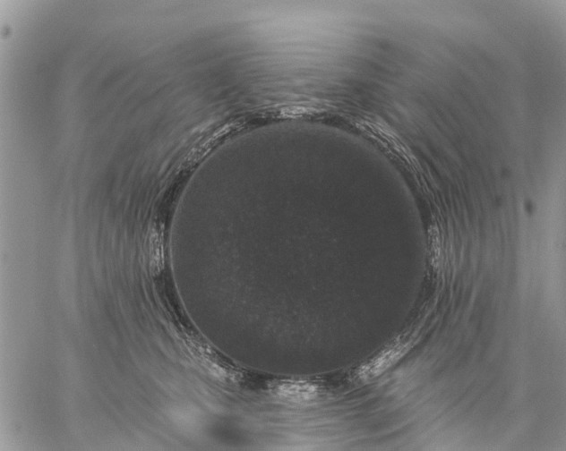 X0000059100471200510172124