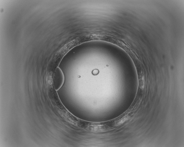 X0000059100472200510172124