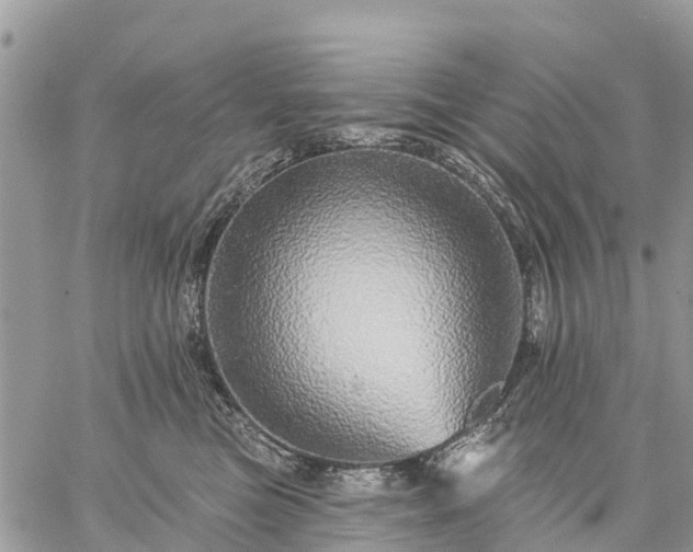 X0000059100473200510172124