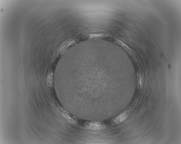 X0000059100475200510172124