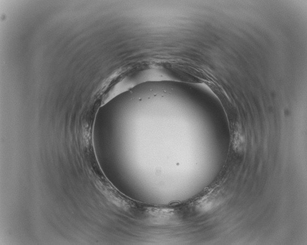 X0000059100476200510172124