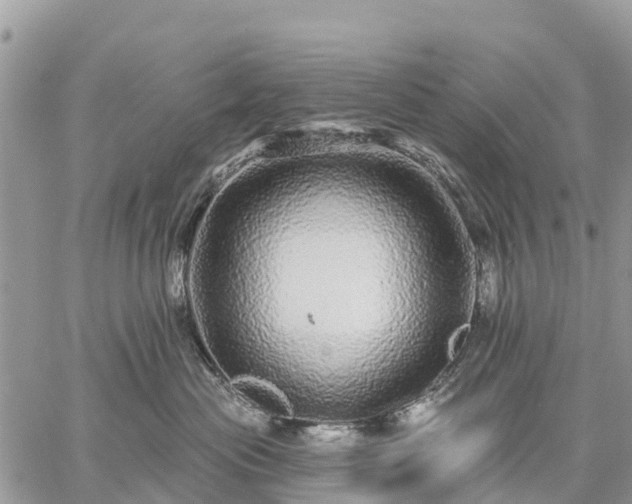 X0000059100477200510172124