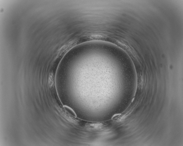 X0000059100478200510172124