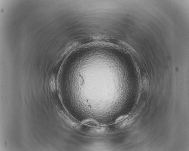 X0000059100479200510172124