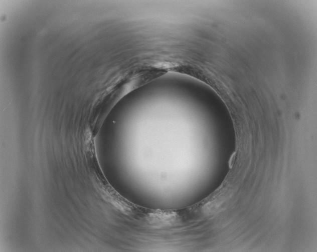 X0000059100480200510172124