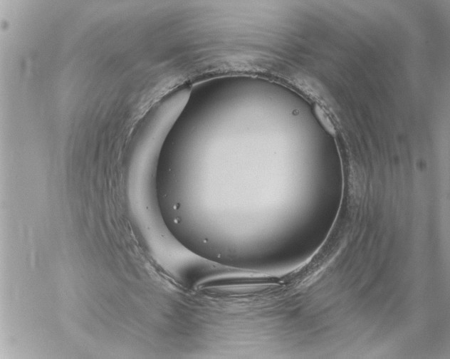 X0000059100481200510172124