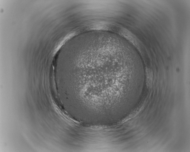 X0000059100482200510172124