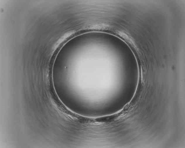 X0000059100483200510172124