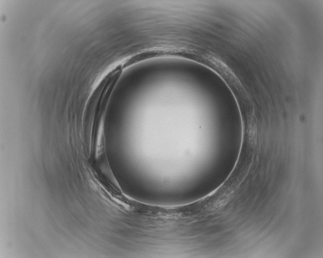 X0000059100484200510172124