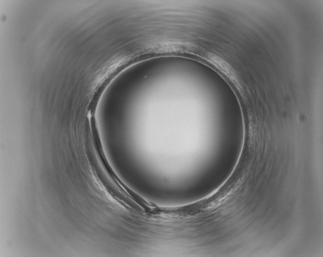 X0000059100485200510172124