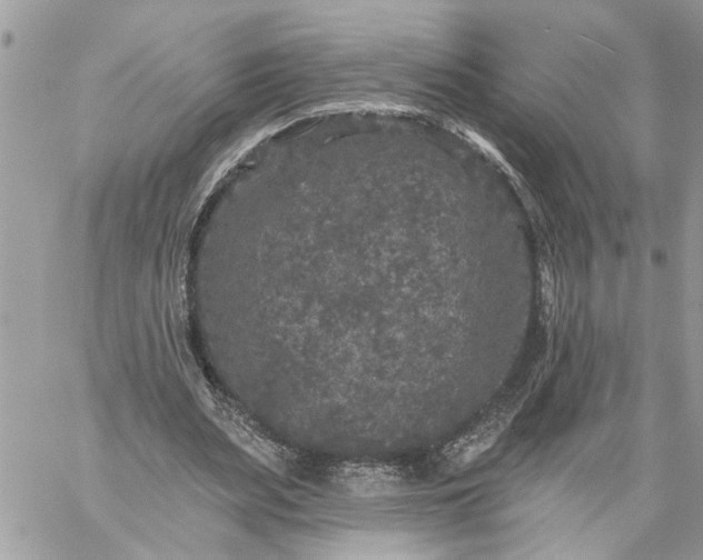 X0000059100487200510172124