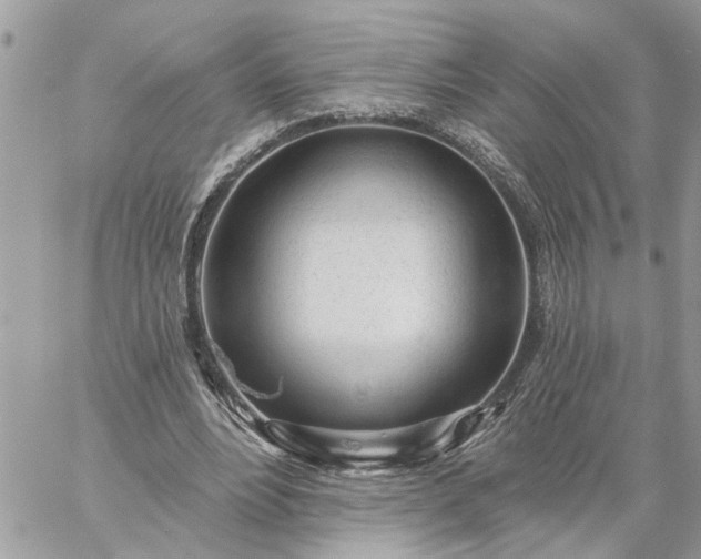 X0000059100488200510172124